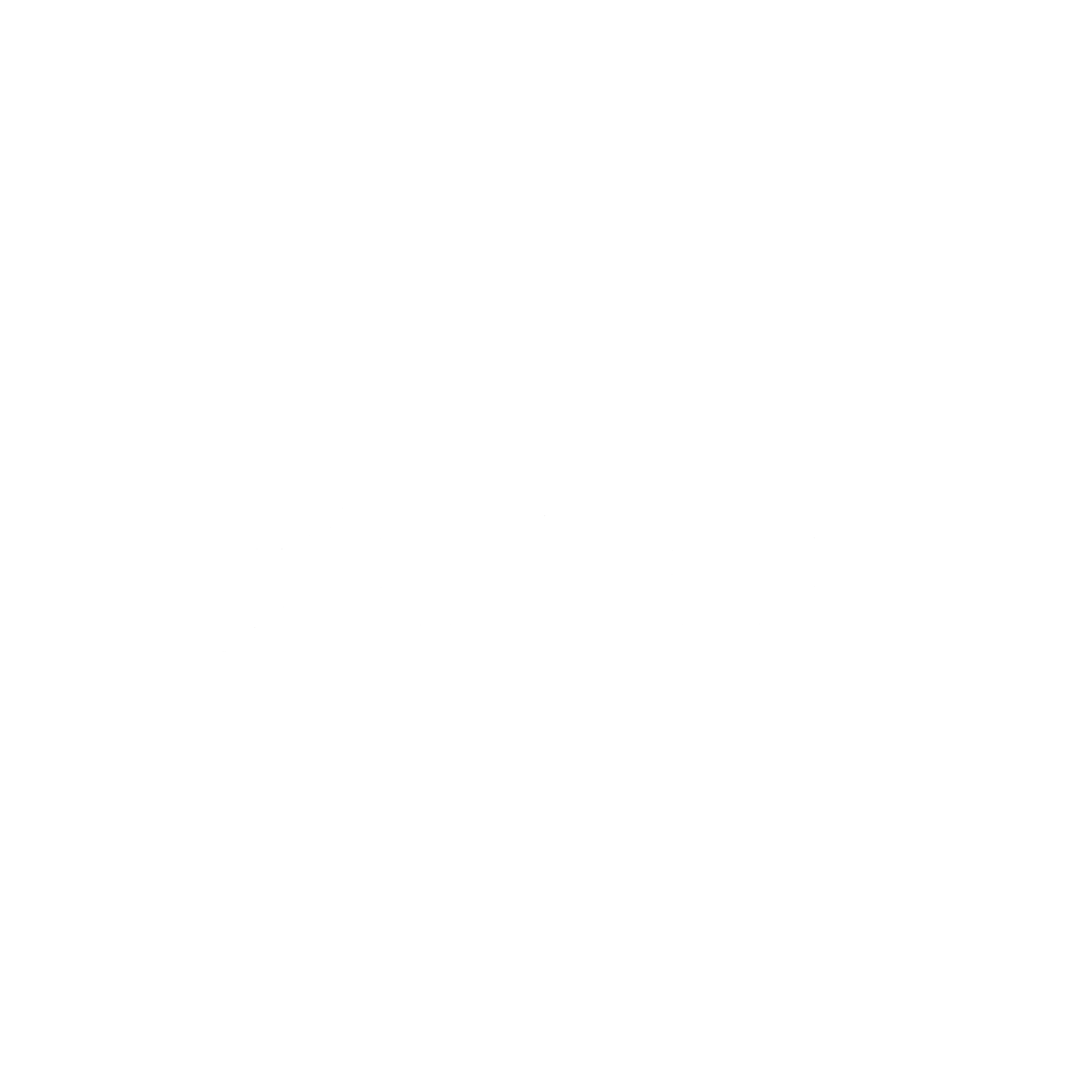 Zonex Logo